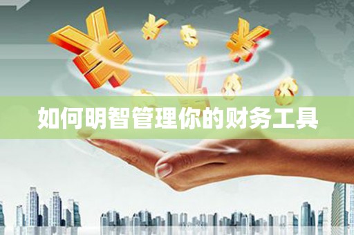 企石如何明智管理你的财务工具