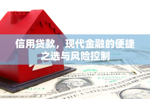 企石信用贷款，现代金融的便捷之选与风险控制