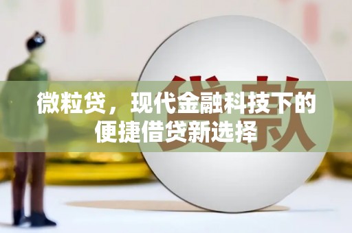 企石微粒贷，现代金融科技下的便捷借贷新选择
