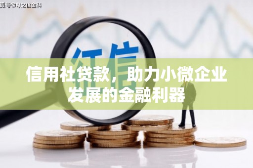 企石信用社贷款，助力小微企业发展的金融利器