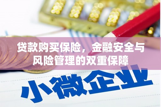 企石贷款购买保险，金融安全与风险管理的双重保障