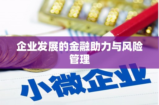 企石企业发展的金融助力与风险管理