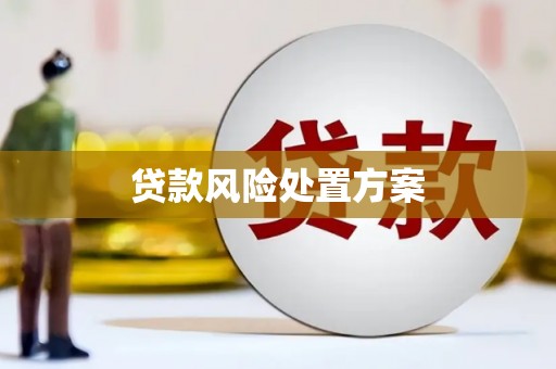 企石贷款风险处置方案