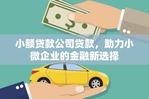 企石小额贷款公司贷款，助力小微企业的金融新选择