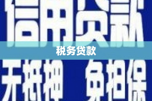 企石税务贷款