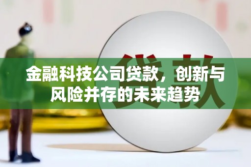 企石金融科技公司贷款，创新与风险并存的未来趋势