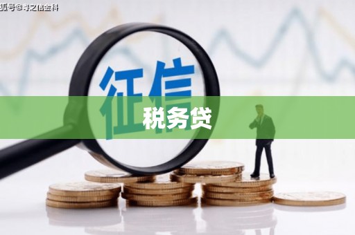 企石税务贷