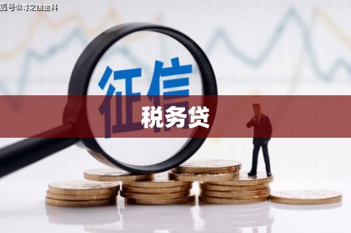 企石税务贷