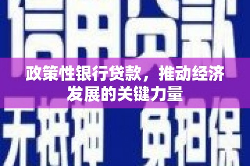 企石政策性银行贷款，推动经济发展的关键力量