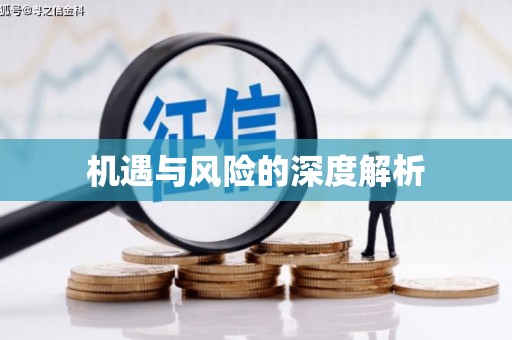 企石机遇与风险的深度解析