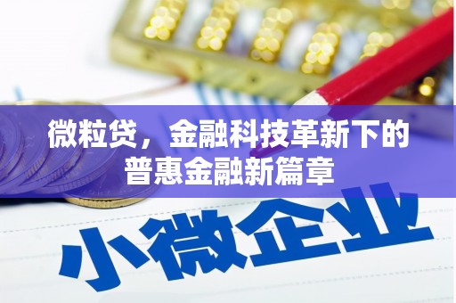 企石微粒贷，金融科技革新下的普惠金融新篇章
