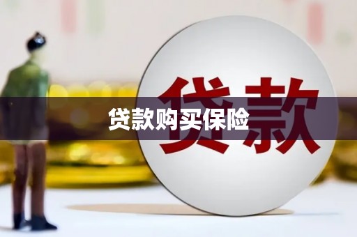 企石贷款购买保险