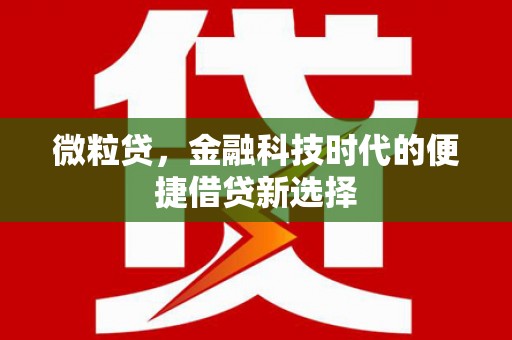 企石微粒贷，金融科技时代的便捷借贷新选择
