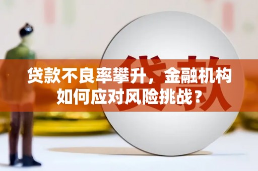 企石贷款不良率攀升，金融机构如何应对风险挑战？