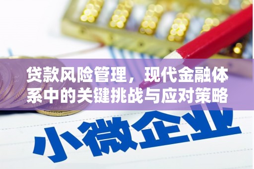 企石贷款风险管理，现代金融体系中的关键挑战与应对策略