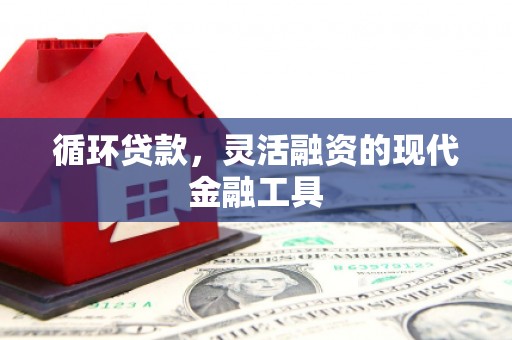企石循环贷款，灵活融资的现代金融工具