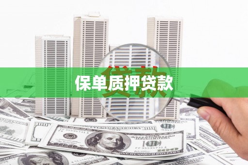 企石保单质押贷款