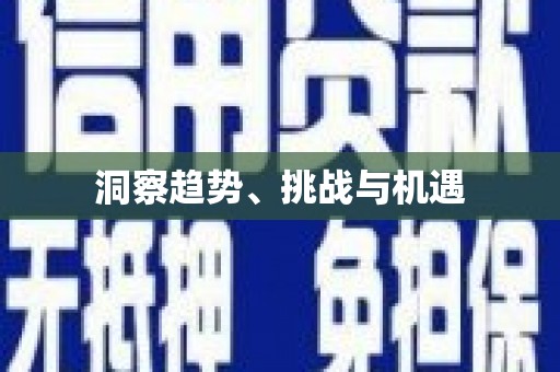 企石洞察趋势、挑战与机遇