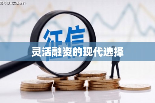 企石灵活融资的现代选择