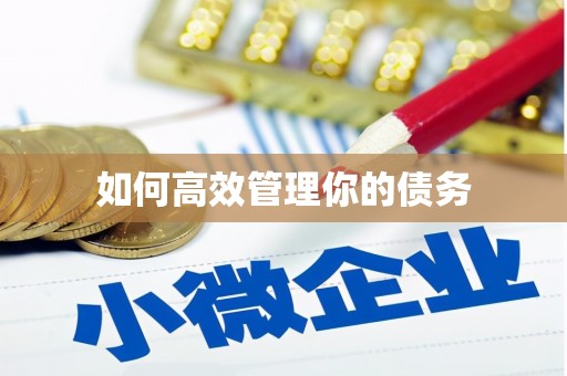 企石如何高效管理你的债务