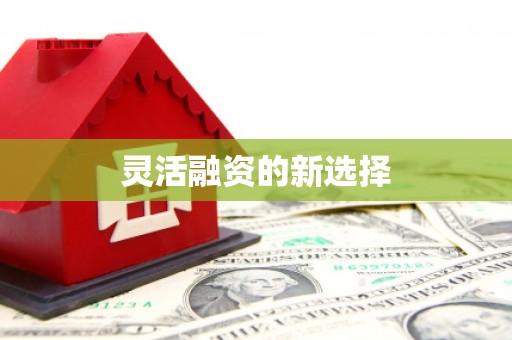 企石灵活融资的新选择