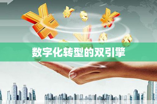 企石数字化转型的双引擎