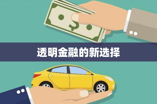 企石透明金融的新选择