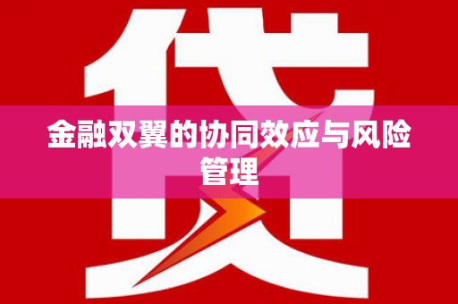 企石金融双翼的协同效应与风险管理