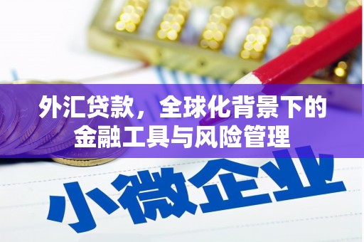 企石外汇贷款，全球化背景下的金融工具与风险管理