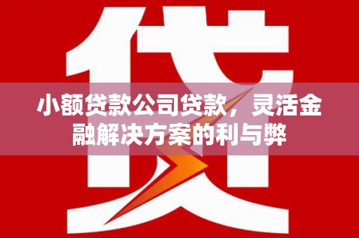 企石小额贷款公司贷款，灵活金融解决方案的利与弊