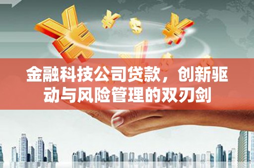 企石金融科技公司贷款，创新驱动与风险管理的双刃剑